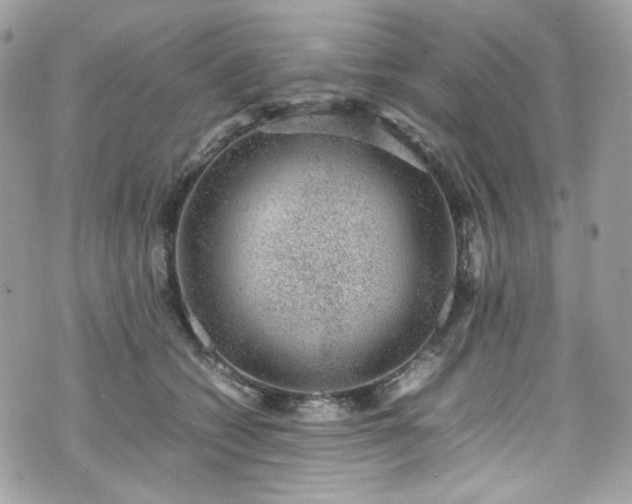 X0000070370562200606161320