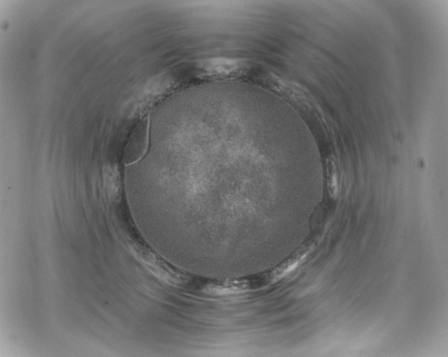 X0000070370563200606161320