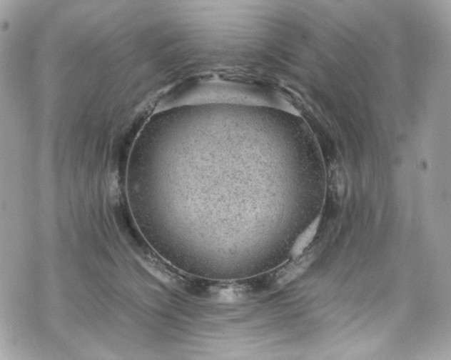 X0000070370564200606161320