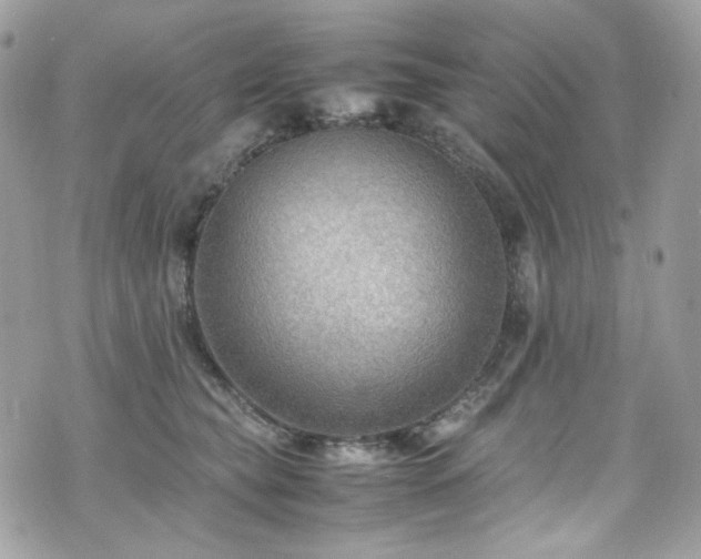 X0000070370565200606161320