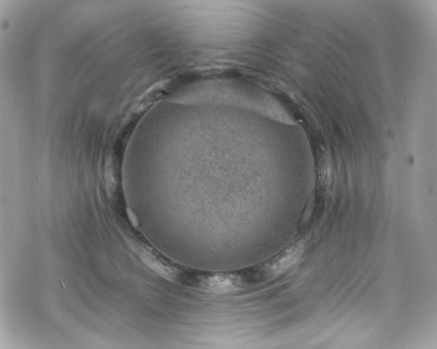 X0000070370566200606161320