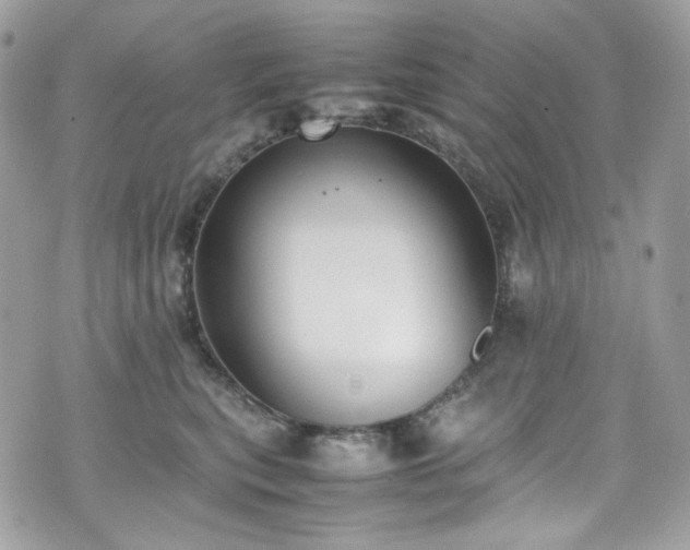 X0000070370567200606161320