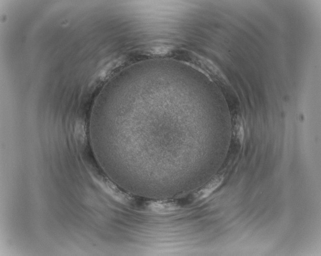 X0000070370568200606161320