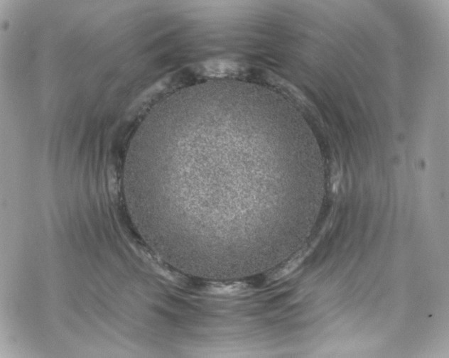 X0000070370569200606161320