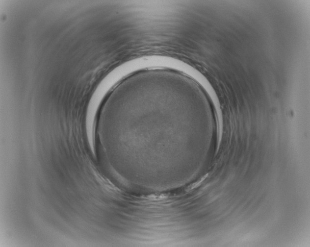 X0000070370570200606161320