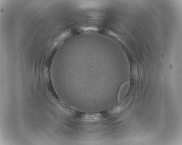 X0000070370571200606161320