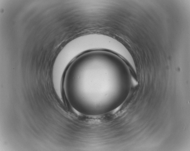 X0000070370572200606161320