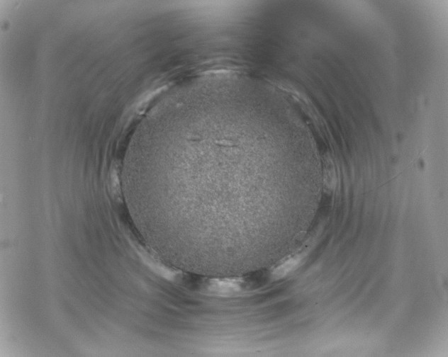 X0000070370573200606161320