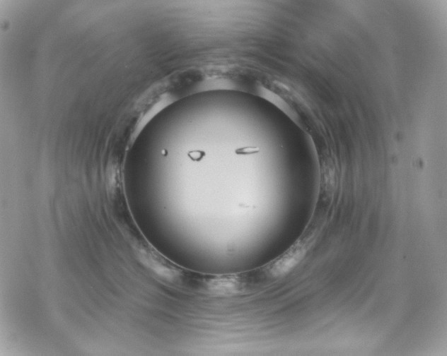 X0000070370574200606161320