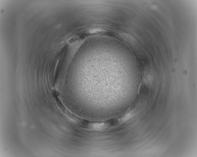 X0000070370575200606161320