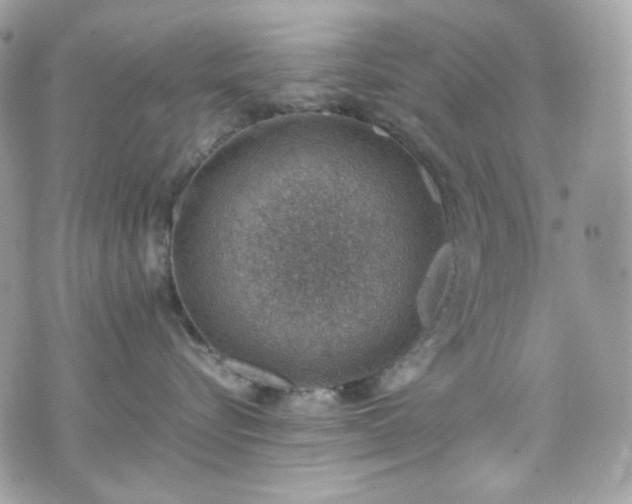 X0000070370576200606161320