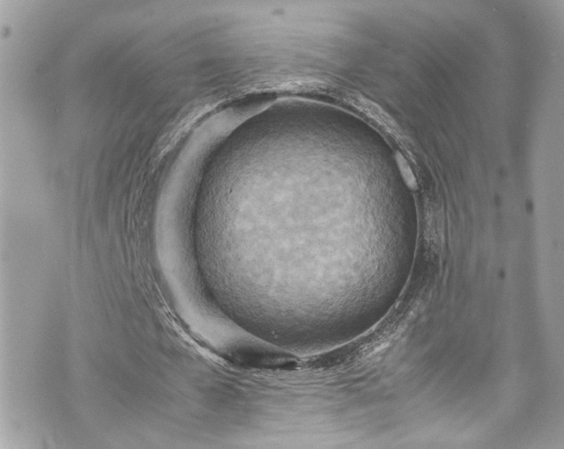 X0000070370577200606161319