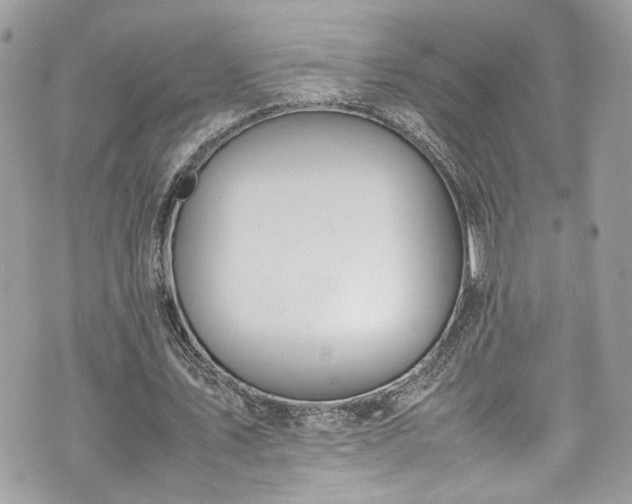 X0000070370579200606161319