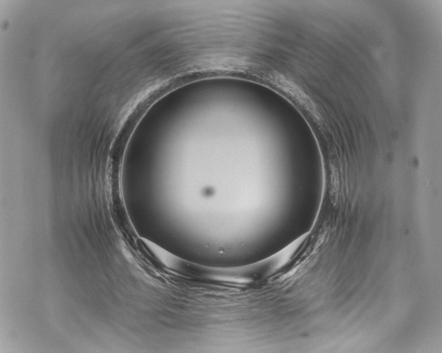 X0000070370580200606161319