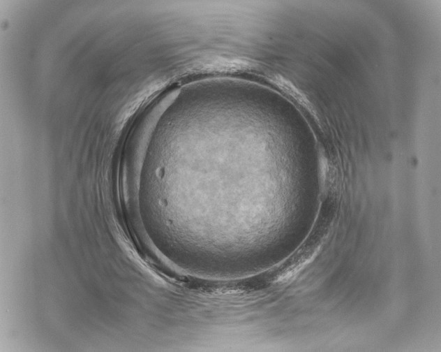 X0000070370581200606161319