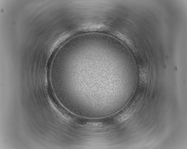 X0000070370582200606161319