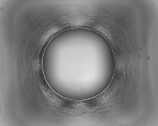 X0000070370583200606161319