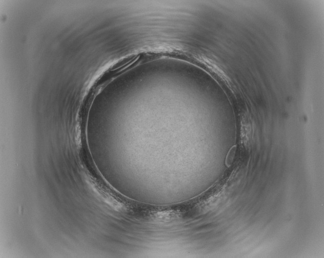 X0000070370584200606161319