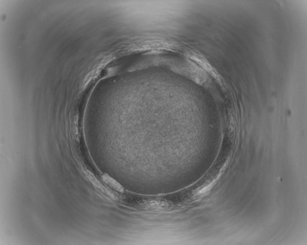 X0000070370585200606161319