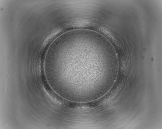 X0000070370586200606161319