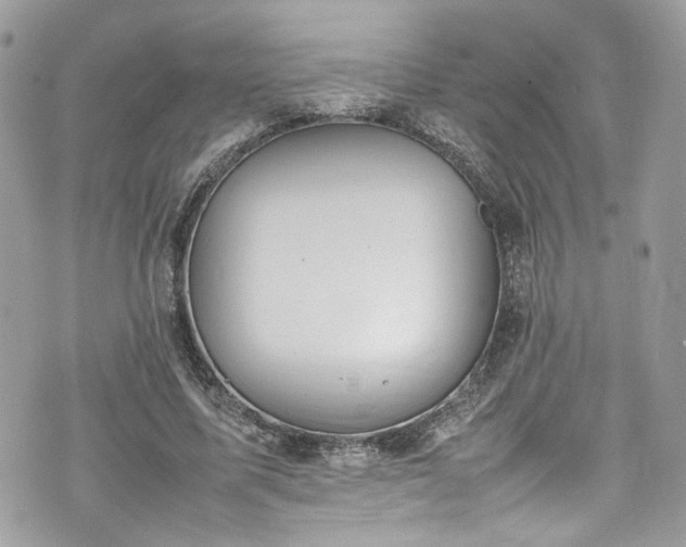 X0000070370587200606161319