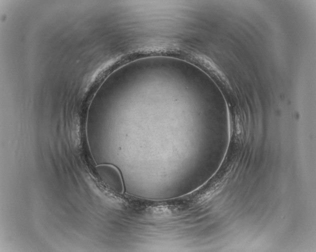 X0000070370588200606161319