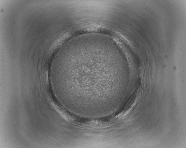 X0000070370589200606161319