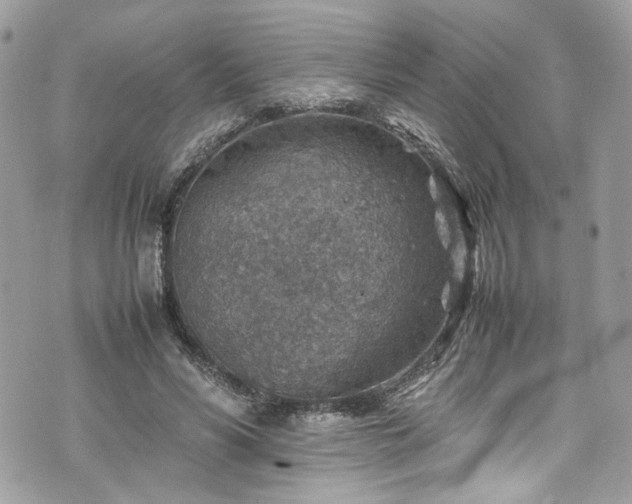 X0000070370590200606161319