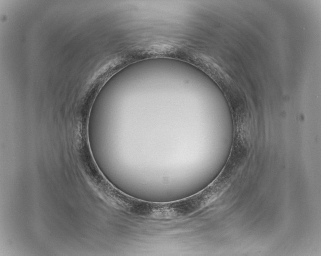 X0000070370591200606161319