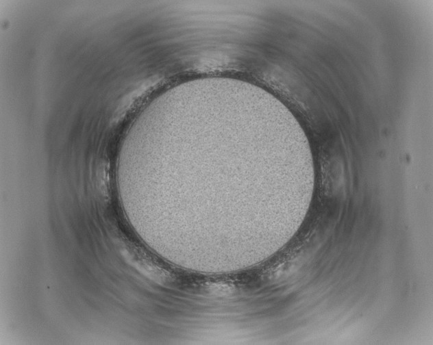 X0000070370592200606161319