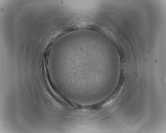 X0000070370593200606161319