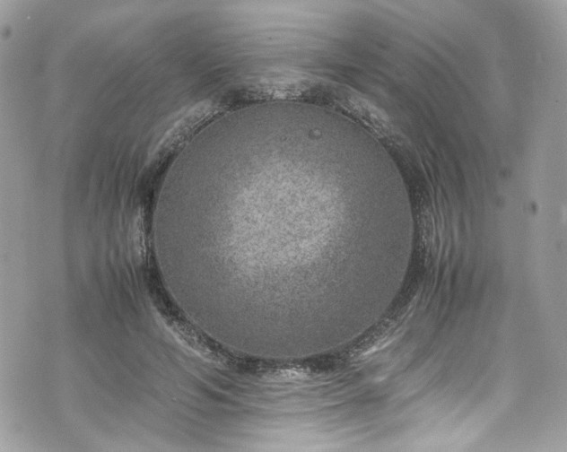 X0000070370594200606161319