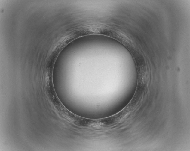 X0000070370595200606161319