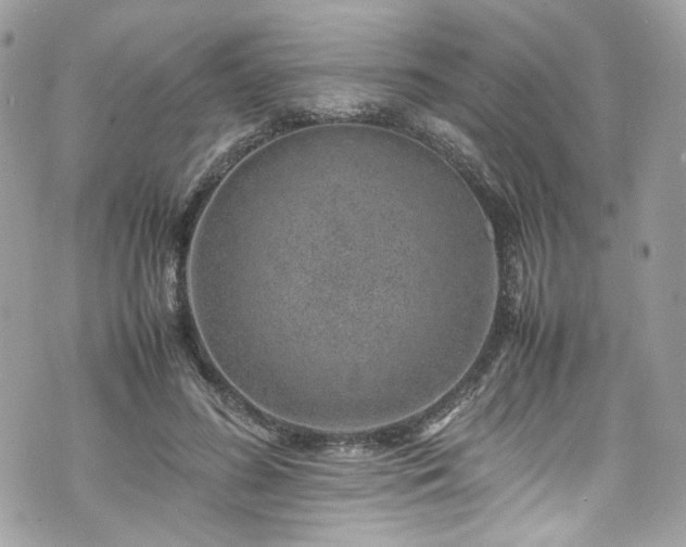 X0000070370596200606161319