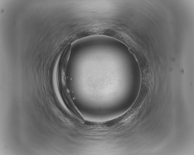 X0000070370597200606161319