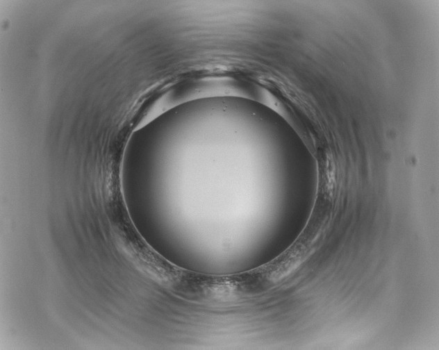 X0000070370600200606161319