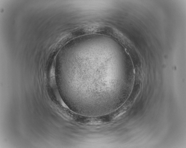 X0000070370601200606161319