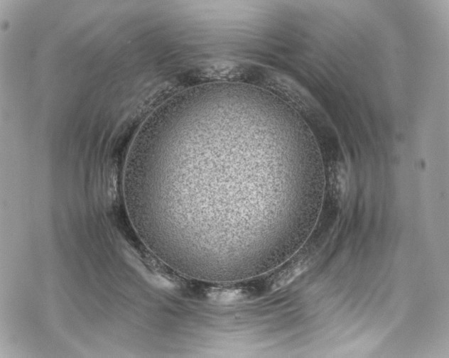 X0000070370602200606161319