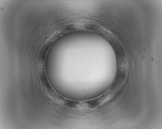 X0000070370603200606161319