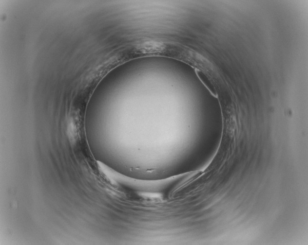 X0000070370604200606161319