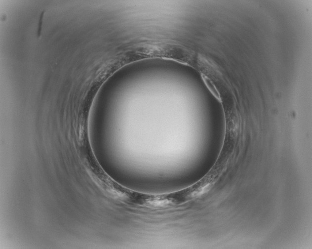 X0000070370607200606161319