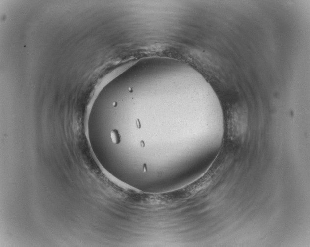 X0000070370608200606161319