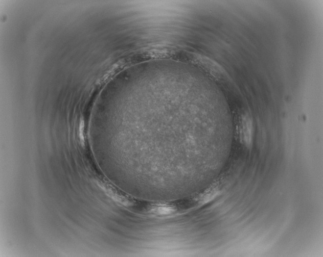 X0000070370610200606161319