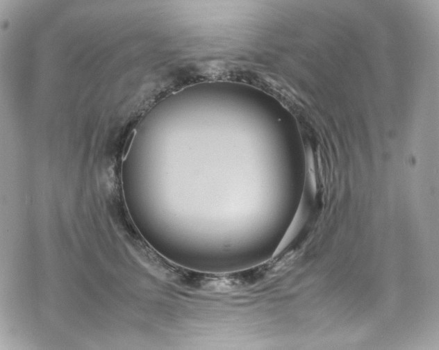 X0000070370611200606161319