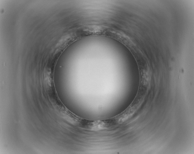 X0000070370612200606161319