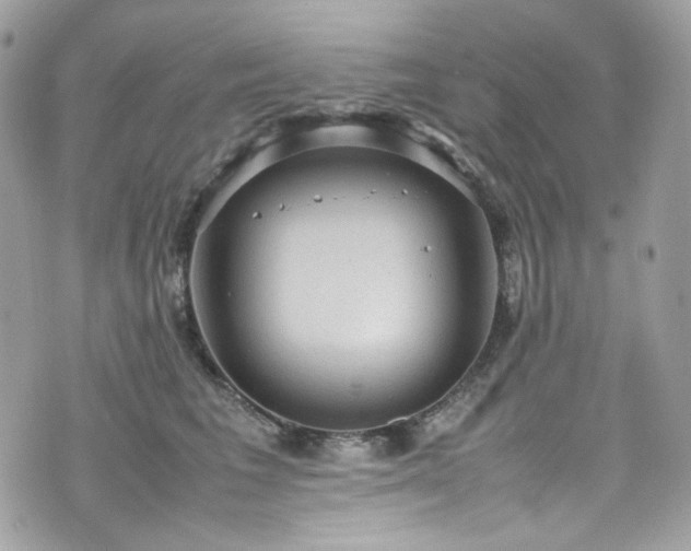 X0000070370613200606161319