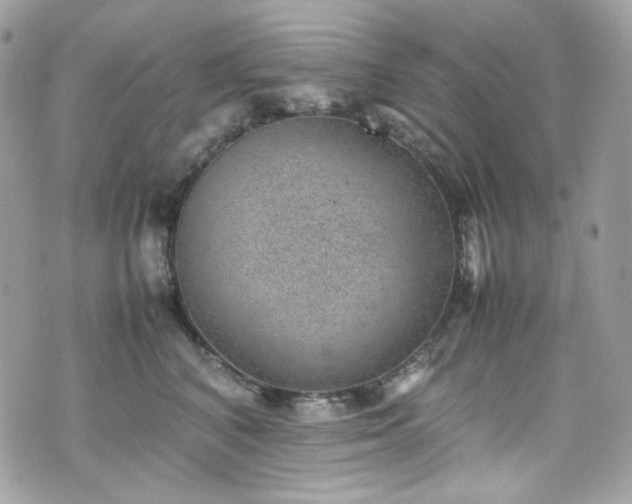 X0000070370616200606161319