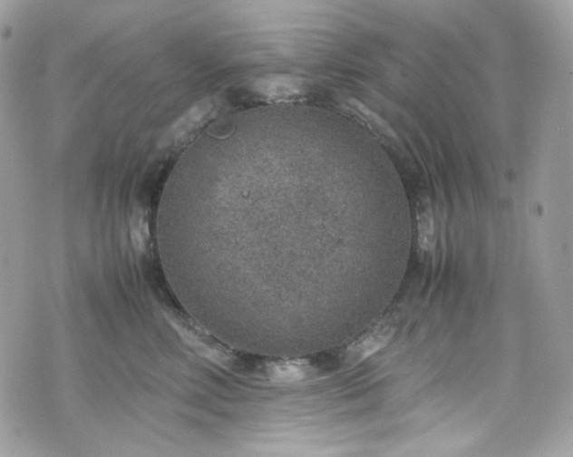 X0000070370618200606161319