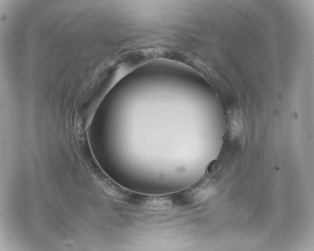 X0000070370619200606161319