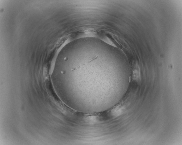 X0000070370620200606161319